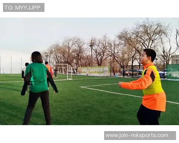 足球小球05玩法解析及技巧分享助你轻松赢得比赛乐趣